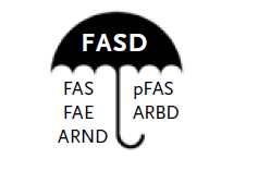 Bron: FAS Stichting Nederland Zoals hierboven beschreven, moeten bij FAS drie kenmerken aanwezig zijn (FAS stichting Nederland, 2015; Warren & Murray, 2013): - Gezichtsafwijkingen: kleine schedel,