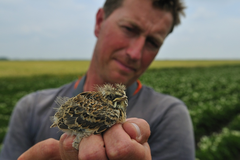 Henk Jan Ottens zal aanwezig zijn bij de bijeenkomst in Drenthe en zal het vast niet kunnen laten om over zijn grote passie veldleeuweriken te hebben De volgende data zijn geprikt: Oost-Groningen: