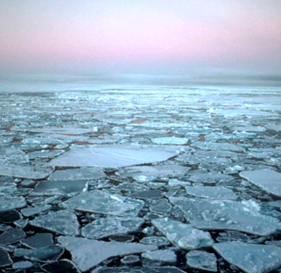 Noordpoolijs In de krant stond het volgende artikel: NOORDPOOLIJS VERDWIJNT De ijskap op de Noordpool is in de afgelopen honderd jaar nog nooit zo klein geweest.