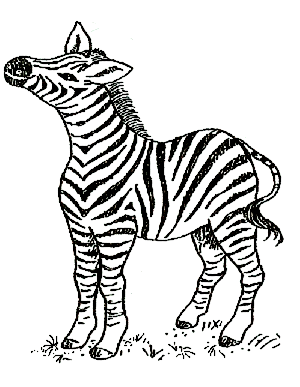 4 Kijk, dit dier heeft mooie strepen, en een kwastje aan de staart. Zijn vel lijkt op een zebrapad. Ik noem hem (zebrapaard.) Kijk, hij heeft een slurf van voren. Hier en daar een grote tand.