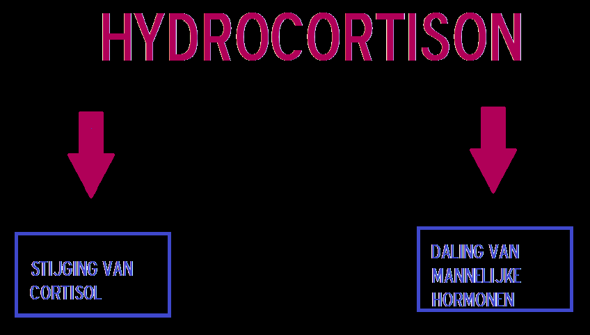 stress, leiden tot een bijniercrisis. Deze crisis zorgt voor een volledige uitdroging en grote bloeddrukval (=shock) wat in extreme gevallen levensgevaarlijk kan zijn.