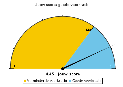 Tijdens de test Na elke vragenlijst krijg je een grafiek te zien, waarop je je scores kan aflezen. Gelieve deze scores telkens even over te schrijven op dit blad onderaan.