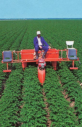 Pootgoed 1p 35 Kranen teelt ook pootaardappelen. In pootaardappelen moeten de zieke planten verwijderd worden. Geef hiervoor de reden. 1p 36 Op onderstaande foto is een selectiewagen te zien.