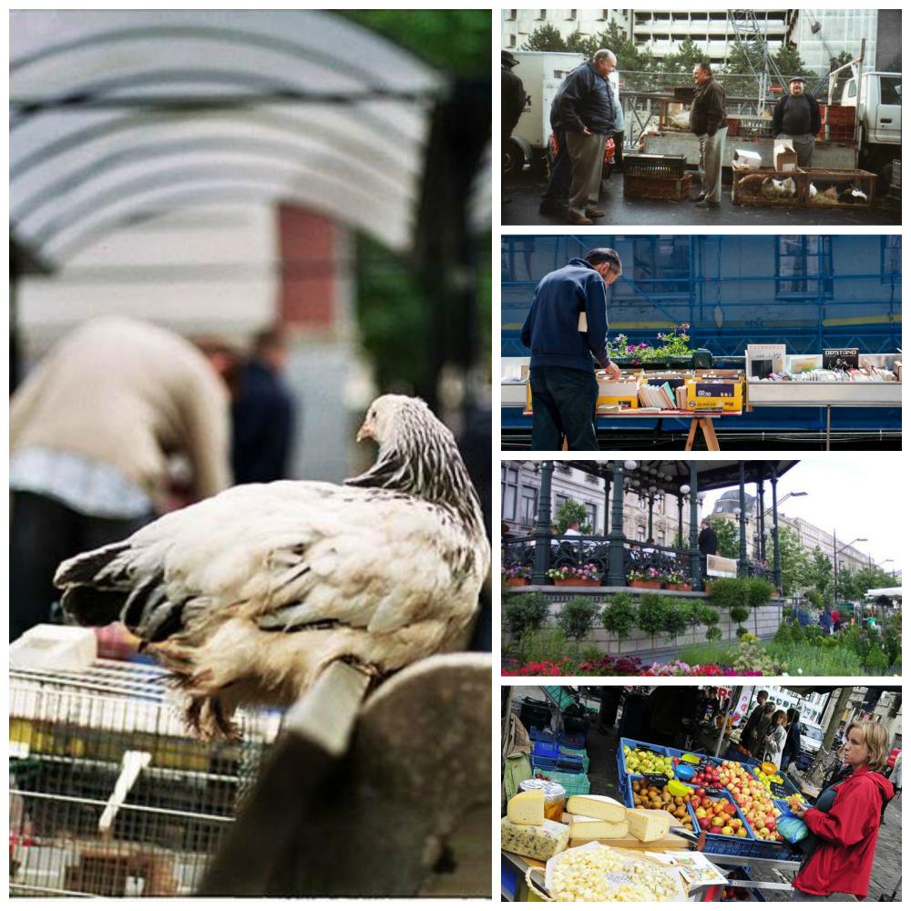 We gaan van de bloemenmarkt op de kouter naar de Oude Beestenmarkt en als er nog genoeg tijd is naar de Groentenmarkt en de Ajuinlei.