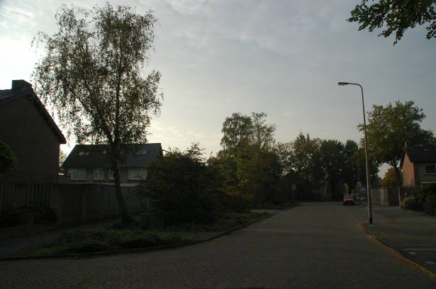 Bomenbeleidsplan A-boom, begraafplaats Lage Zwaluwe A-boom, Made, Ned.