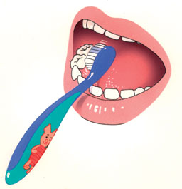 Tandenpoetsen: een dagelijks ritueel Maak je baby op speelse wijze met tandenpoetsen vertrouwd. Maak er een dagelijks herkenbaar ritueel van.