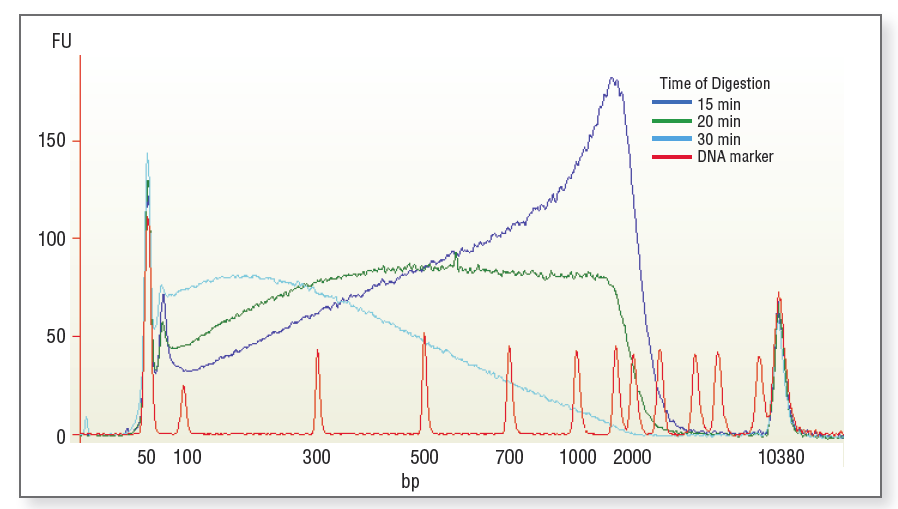 FIGUUR 3.7.: DISTRIBUTIE VAN RT-PCR PRODUCTEN (5,8 KB) GEPRODUCEERD MET DS DNA FRAGMENTASE EN GEANALYSEERD MET DE BIOANALYZER 2100 20 3.6.1.2. Procedure 1.