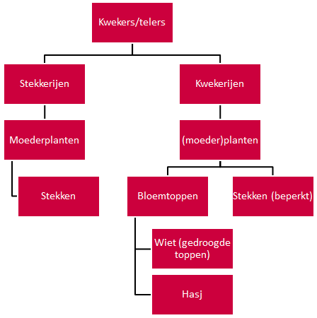 Figuur 3 Het onderscheid tussen stekkerijen en kwekerijen en hun producten* * In deze figuur staan ook stekken (beperkt) als product bij de kwekerijen.