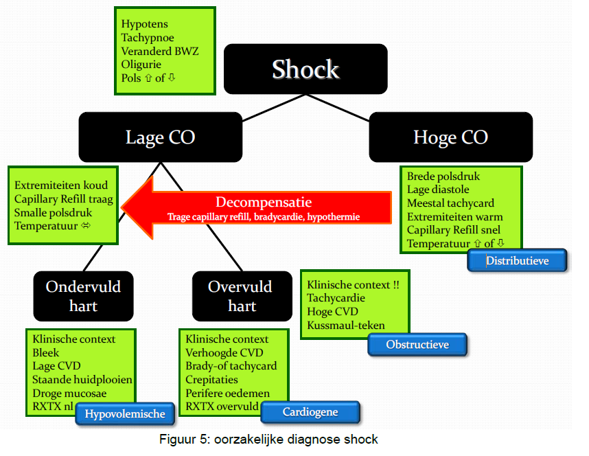 Andere oorzaken van hoge output hypotensie zijn leverfalen, pancreatitis, anafylaxis, hyperthyroïdie en de aanwezigheid van arterioveneuze shunts.