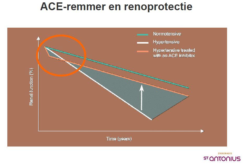 Glomerular Druk Afferente Arteriolaire Dilatatie Bloedstroom