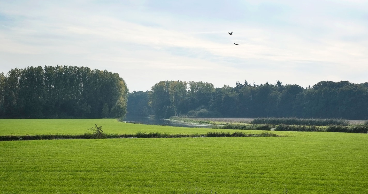 Het GOB, die het beschikkingsrecht heeft over deze gronden, en juridisch eigenaar provincie Noord-Brabant zien het zelf in eigendom en beheer hebben van NNB-gronden niet als kerntaak.