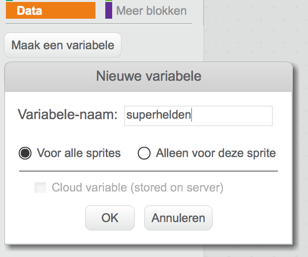 Dat concept kennen jullie trouwens misschien nog uit Scratch. Kijk eens naar het kadertje dat je krijgt als je een nieuwe variabele maakt in Scratch: Zie je de selectie?