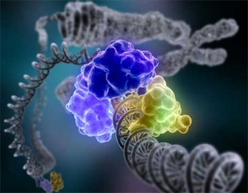 eerst zichtbaar gemaakt. In slow motion liet hij zien hoe een breuk in een streng DNA gedicht wordt.