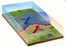 Een golf : begin van een depressie Het frontvlak kan een golf, een uitbuiking, gaan vertonen dat vlak gaat golven als een wateroppervak De symbolen bij warmfront en koufront geven de