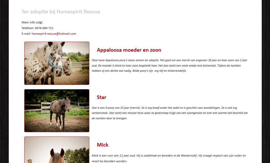 COMMUNICATIE Oproep adoptiepaarden