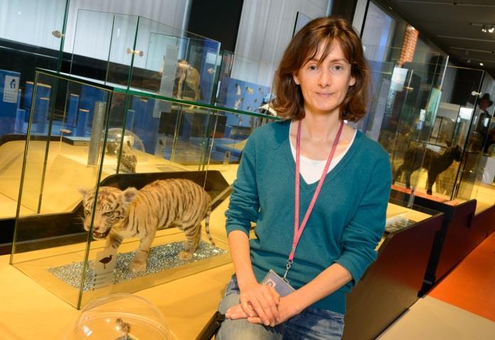 Cécile Gerin in het kort Cécile Gerin: 'Werken met kinderen is enorm verrijkend. Er komt zeker een vervolgverhaal op deze tentoonstelling.