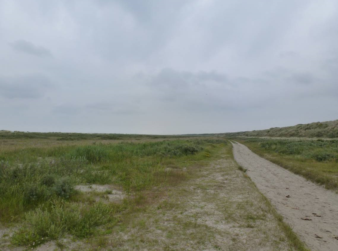 Mitigerende maatregelen bestaand gebruik 1. Het verplaatsen van de strandactiviteiten naar een deel van het activiteitenstrand (uit het BIP+ en is al uitgevoerd) 2.