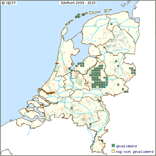 akkerranden en in parkachtige bosgebieden. In Spanje komt het Damhert ook in moerasgebieden voor (Bron: Zoogdiervereniging). 18.2 