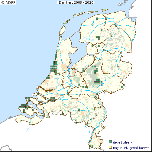 Figuur 18.2 Verspreiding Edelhert over Nederland in de periode 2008-2014 (Bron: NDFF) 18.2.3 Verspreiding Damhert Er zijn twee gevalideerde waarnemingen van Damherten sinds 2008 in Overijssel.