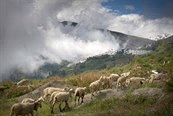 Themareizen / Europa / Spanje Code 115025 R groepsreis Niveau Accommodatie Waardering Spanje - Alpujarras fotoreis, 8 dagen Andalusië in beeld, fotografiecursus vanuit appartementen en stadshotel De