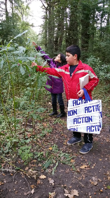 Nieuws uit groep 3 & 4 Vorige week zijn we met groep 3/4 naar het bos geweest. Een aantal moeders heeft ons met de auto daarheen gebracht. We hebben daar een herfstwandeling gemaakt.