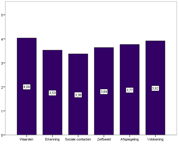 Door voor ieder motief een score te berekenen kan een ranking worden geconstrueerd op basis waarvan een profiel kan worden geschetst van de gemiddelde motivaties voor de vrijwilligers.