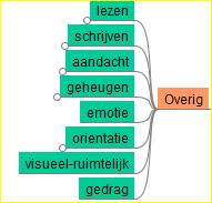 Lezen en schrijven Hoofd- en bijzaken (ook in