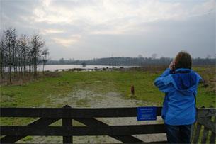 Startplaats: honderd meter verder op het pad in richting Stekkermortel. Een picknicktafel moet als ontmoetingsplek dienen voor de wachtenden. Bovendien als uitrustplek, na de rode route-wandeling.