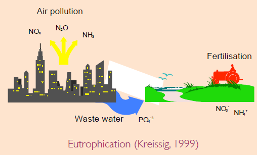 Eutrofiëring Te veel voedingstoffen in water (N en P) Sterke