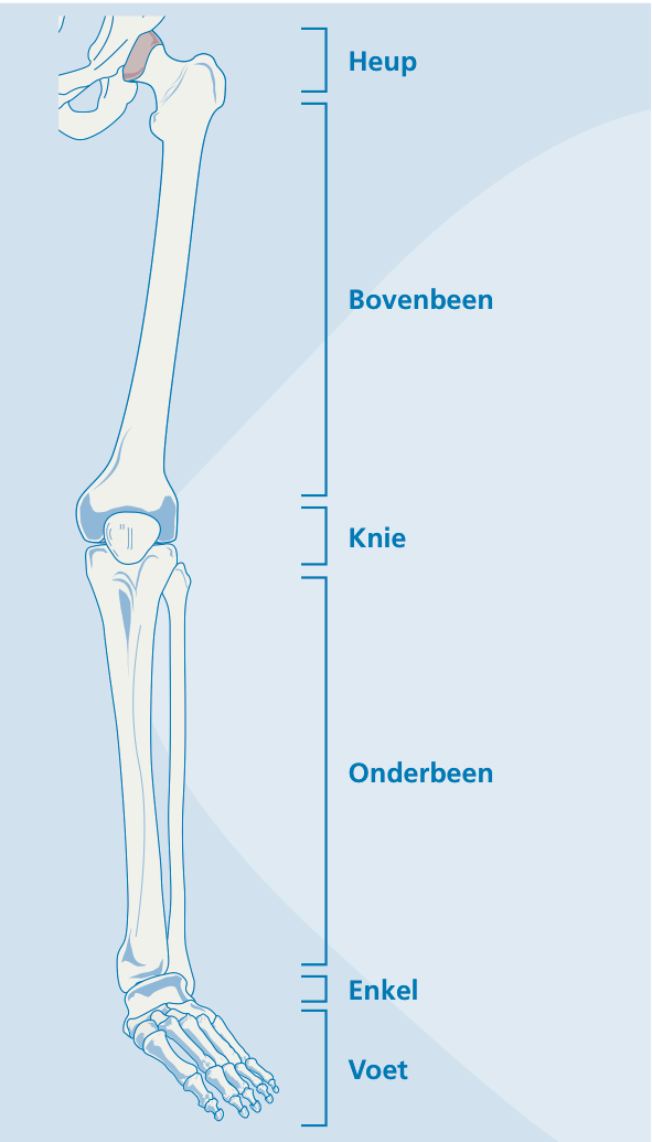 De onderste