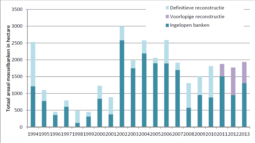 Figuur 5.1. Areaal aan mosselbanken op wadplaten van 1994 2013, in hectare (IMARES, 2013).