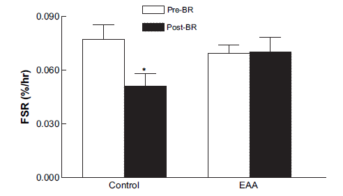 24h muscle protein synthesis before and 10 d of bedrest in elderly subjects Control