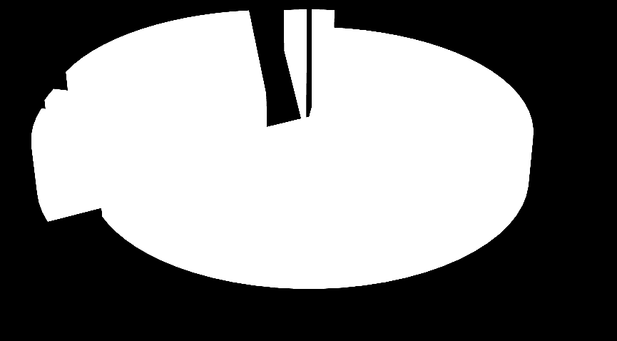 Gemiddelde leeftijd 2013 2012 Aantal personen jonger dan 35 jaar Man 46,0 43,9 in 2013: 15 (=28,85%) Vrouw 42,1 40,8 in 2012: 17 (=29,30%) Man + vrouw 44,0 42,4 Leeftijdsopbouw <21 21-25 26-30 31-35