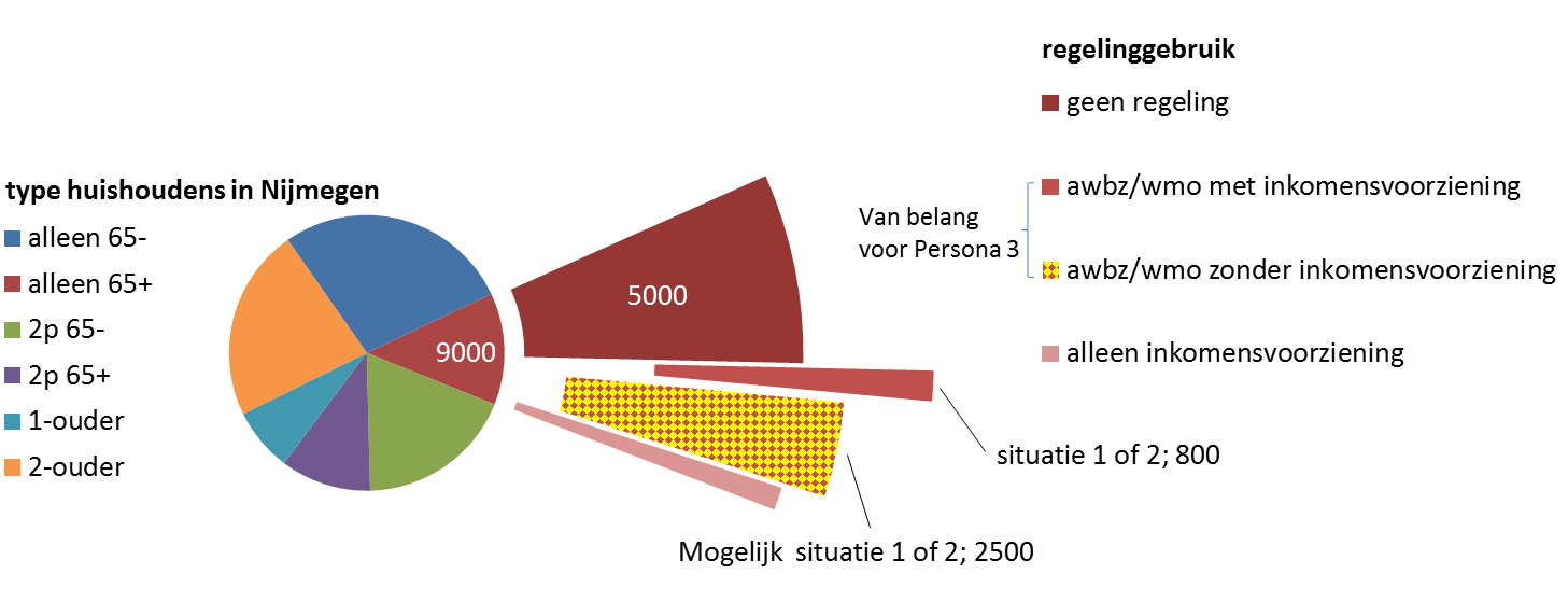 Persona 3 in Nijmegen Er wonen in Nijmegen 800 huishoudens van alleenstaande ouderen die wat inkomensniveau en zorggebruik vergelijkbaar zijn met Herman.