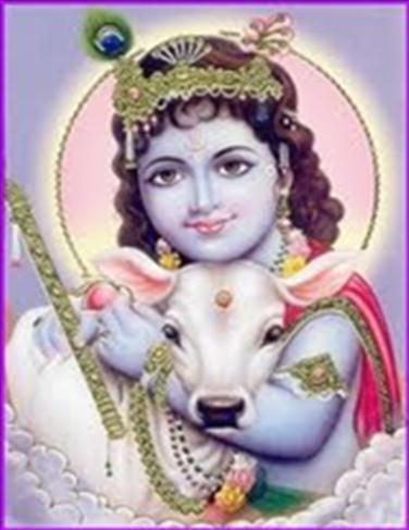 Krishna God Krishna heeft vele benamingen die gerelateerd zijn aan de koe. Zoals Govinda wat betekent hij die tevredendheid brengt bij de koeien.