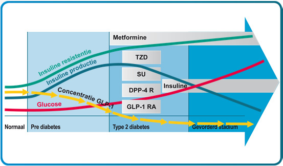 NHG-standaard DM2 anno 2006 /2012 Stap 1 start metformine Stap 2 BMI <27 kg/m2 + SU BMI 27 kg/m2 + SU (geen HVZ/wel hartfalen) + pio (wel