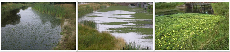 vrijwillige beleidsinstrumenten Convenant waterplanten Evaluatieonderzoek RU Algemene conclusies en aanbevelingen Institute for Science, Innovation and Society Institute for Water and Wetland