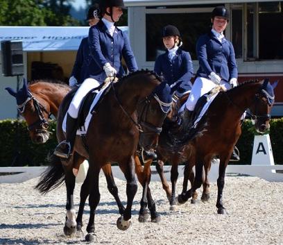 7. Huldigingen Nederland kampioen kür op muziek: Pony 4-tal Nienoord Chantal