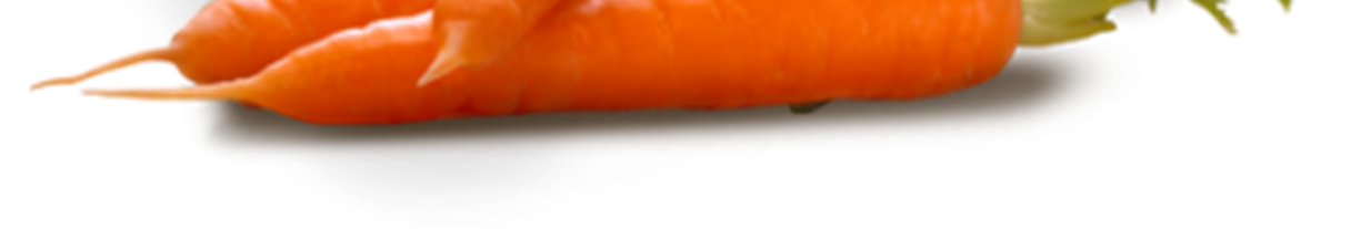 RECEPT 8 Groente tens nstick ticks met dipsau aus Gebruik als groentesticks komkommer, wortel, bleekselderij of paprika.