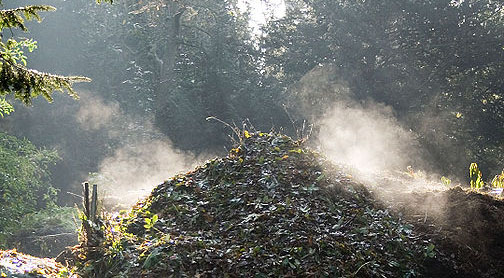 MESTSTOFFEN Bij intensief gebruik van vooral moestuinen raakt de bodem op den duur uitgeput. Bemesten dan wel compost geven is noodzakelijk.