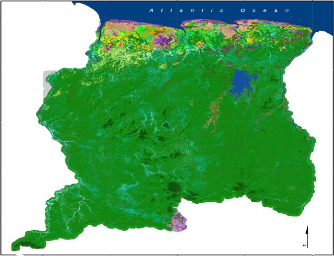 Forest cover map Suriname 2010. MARKT INFORMATIE RAPPORT VOOR HOUT Bosbedekking van Suriname Ongeveer 94% van de landoppervlak van Suriname is bedekt met bos, dat neerkomt op 15,3 miljoen ha.