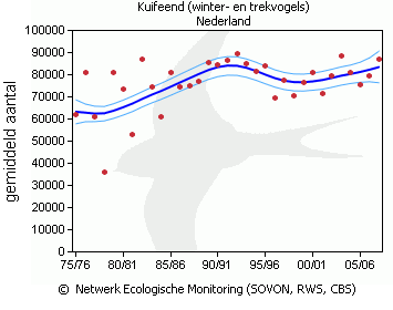 Figuur 4.33. Het verloop van de seizoensgemiddelden van kuifeend. Links: Markermeer & IJmeer. Rechts: Nederland (ontleend aan SOVON, RWS, CBS). Figuur 4.34.