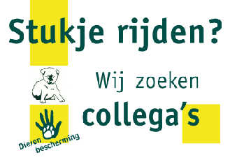 Colofon Deze brochure wordt u aangeboden door: Dierenambulance NHZ & Vereniging Dierenbescherming afdeling Noord-Holland Zuid Coördinator Dierenambulance Mevr. C.E. Dams E-mail: g.dams@chello.