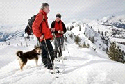 Overnachting in Abtenau 5-7 Grossarltal Programma Sneeuwwandelen Dhr. Knapp, zijn vrouw en de dochter gaan gedurende de week twee- tot driemaal met hun gasten op pad voor een tocht op sneeuwschoenen.