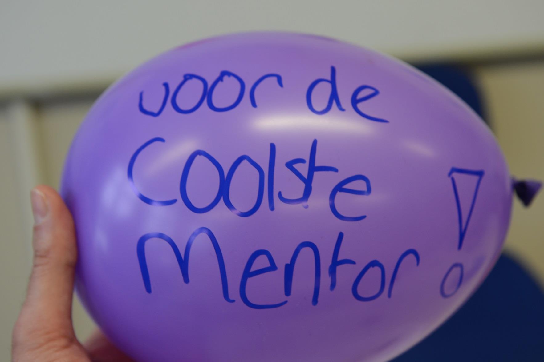 Wat doet een goede mentor bij u op