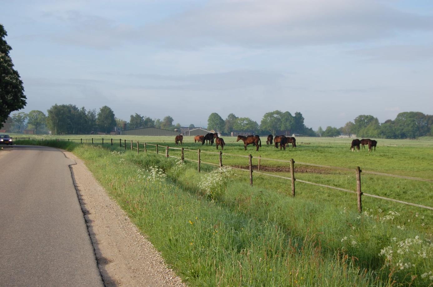 Voorbeeldgebied landschapsontwikkeling Ooijpolder - Groesbeek is een initiatief van de gemeenten Groesbeek, Millingen aan de Rijn, Nijmegen en Ubbergen, Provincie Gelderland, de Stadsregio, Via