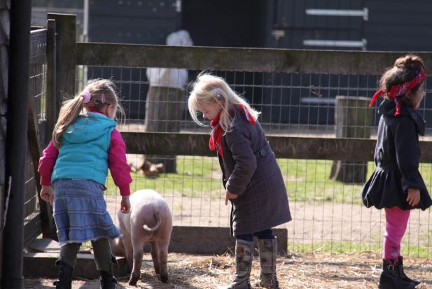 ULE-POST Nieuwsbrief Natuur- en milieueducatie voor het Basisonderwijs in de gemeente Deventer; Uitgave van Stichting De Ulebelt Special over NME-aanbod - juni 2011 Redactie: Maike Nelissen Speciale