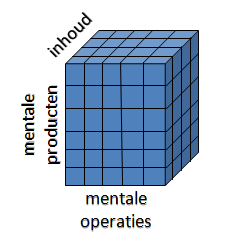 a. Basisprincipe Elke mentale taak heeft 3 facetten: - Inhoud op welk soort materiaal worden er bewerkingen uitgevoerd? o Vb.
