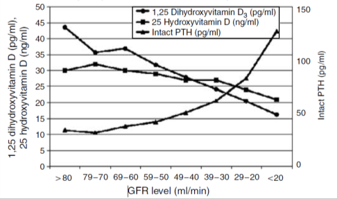 vitamine D: productie fosfaat, calcium, vitamine D, PTH colecalciferol 7-dehydroxycholesterol 25 hydroxy vit D3 1,25 dihydroxy vit D3 1-α dus