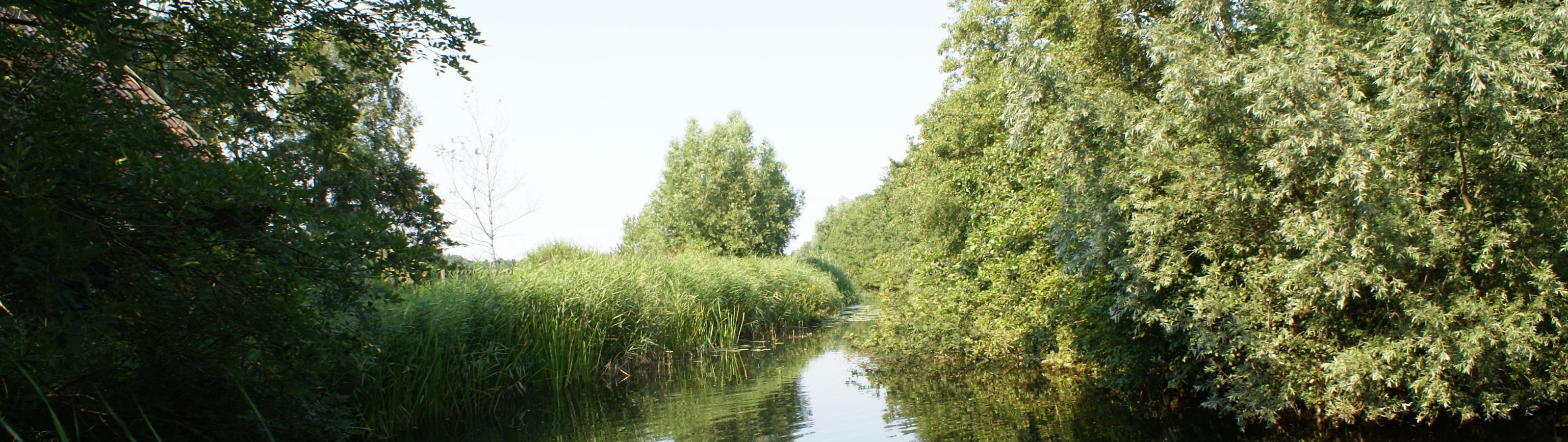 BOTSHOL Het huidige beleid voor het gebied Botshol blijft ongewijzigd: Het wandelpad blijft tijdens het broedseizoen gesloten. Tijdens het broedseizoen worden geen vaarexcursies gegeven.